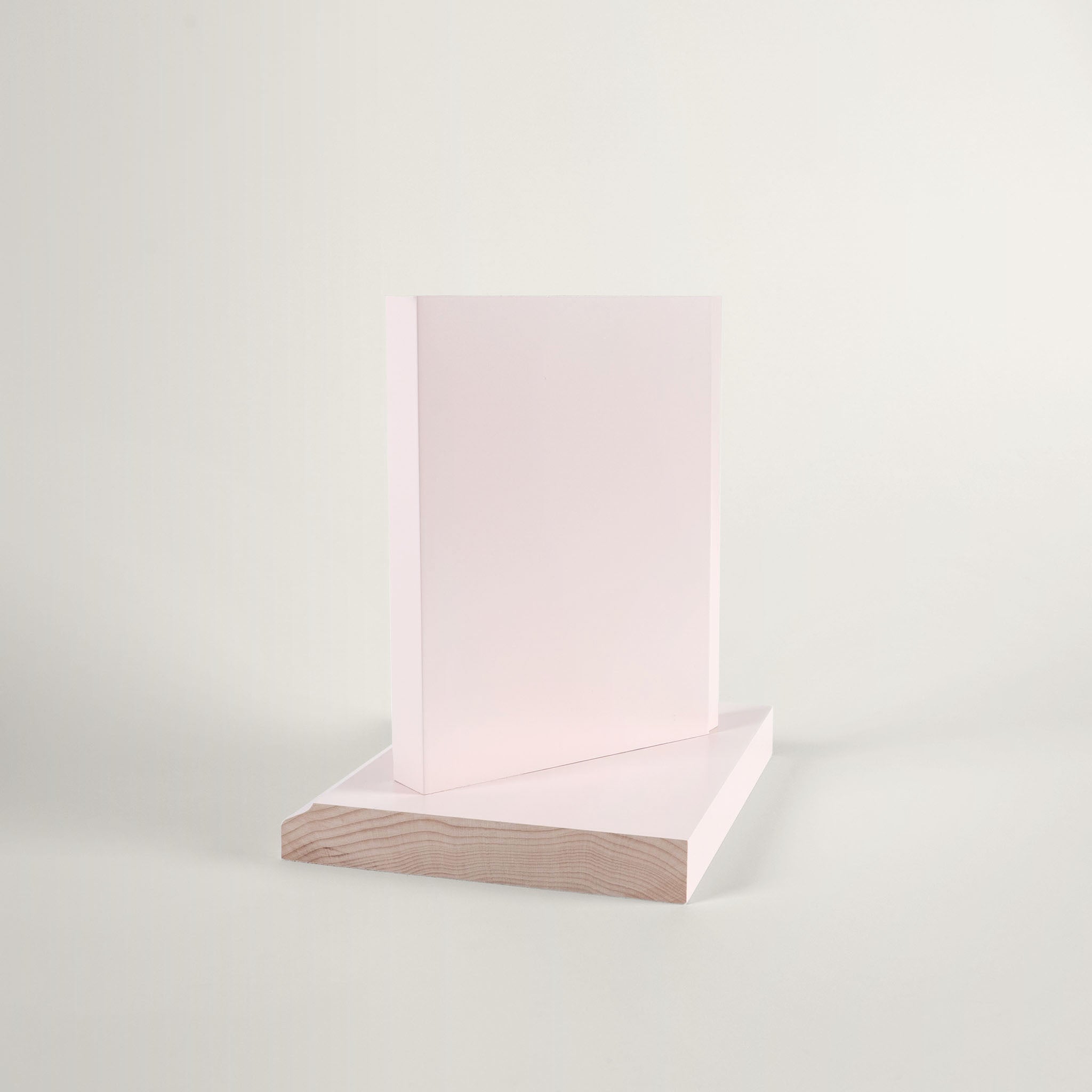 Champagne Pink Swatch