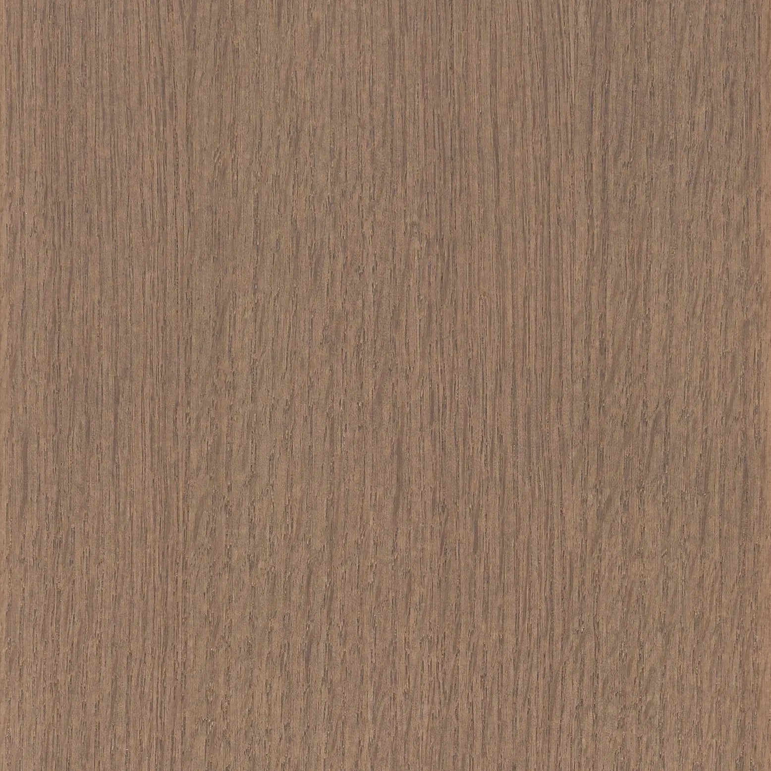 Almond Coast Swatch - Teodor Vanities United States